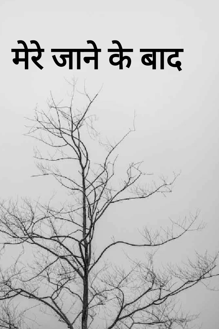 मेरे जाने के बाद